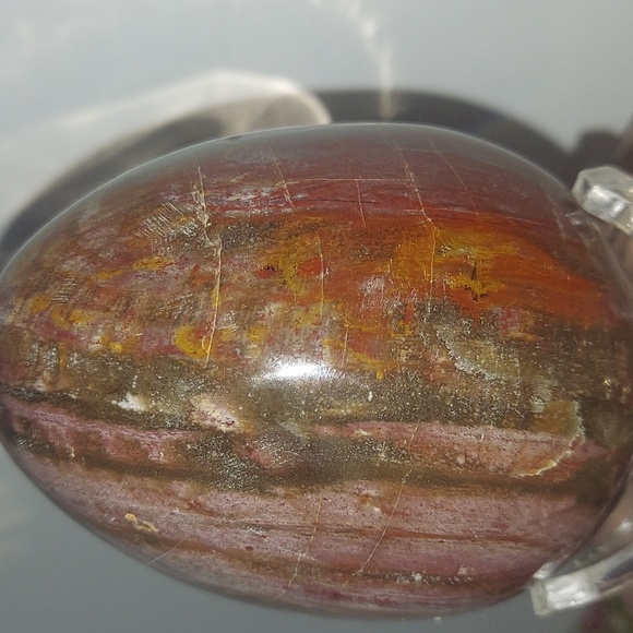 Petrified wood Egg - Picture 3 of 5